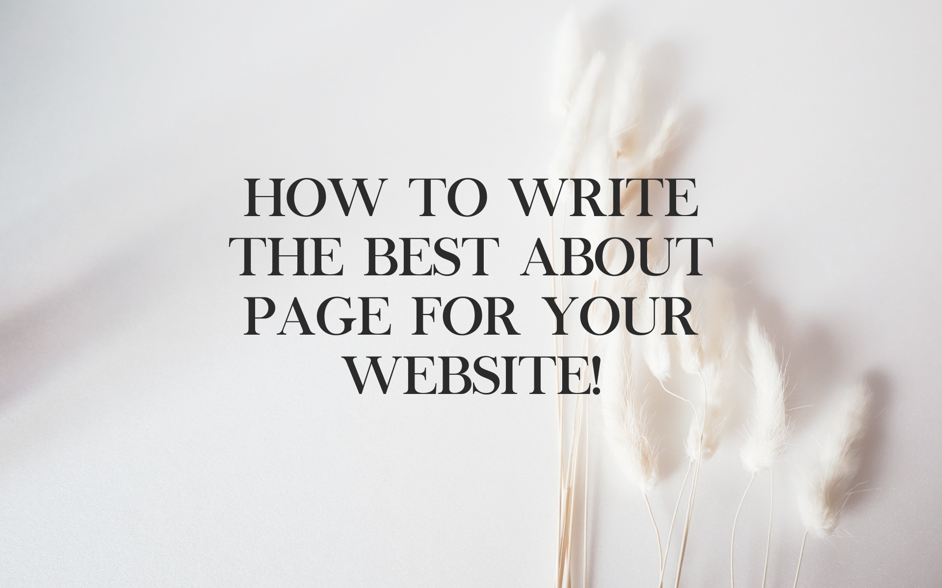 How to write the best about page for your website