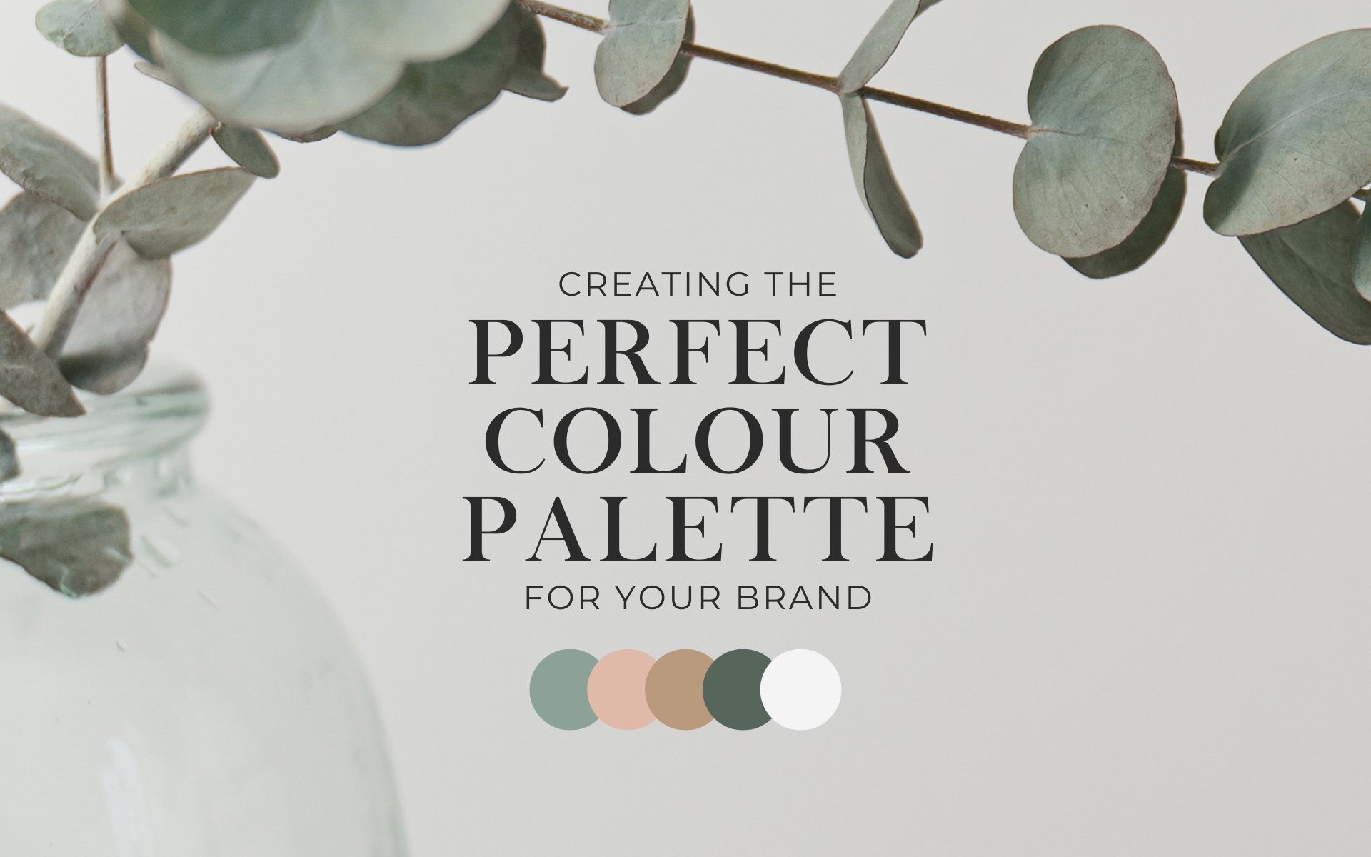 Creating the perfect colour palette for your brand