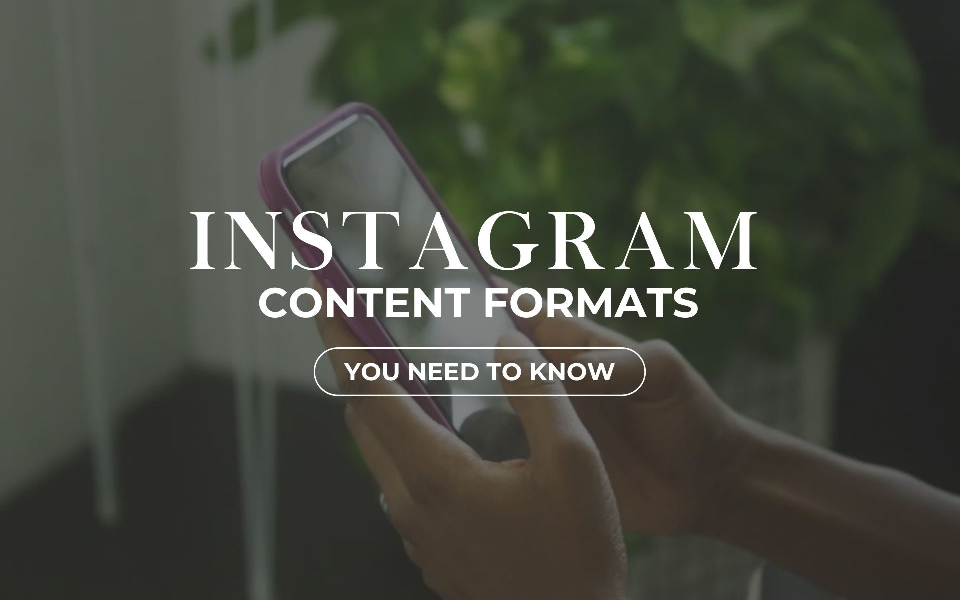 Instagram Content Formats